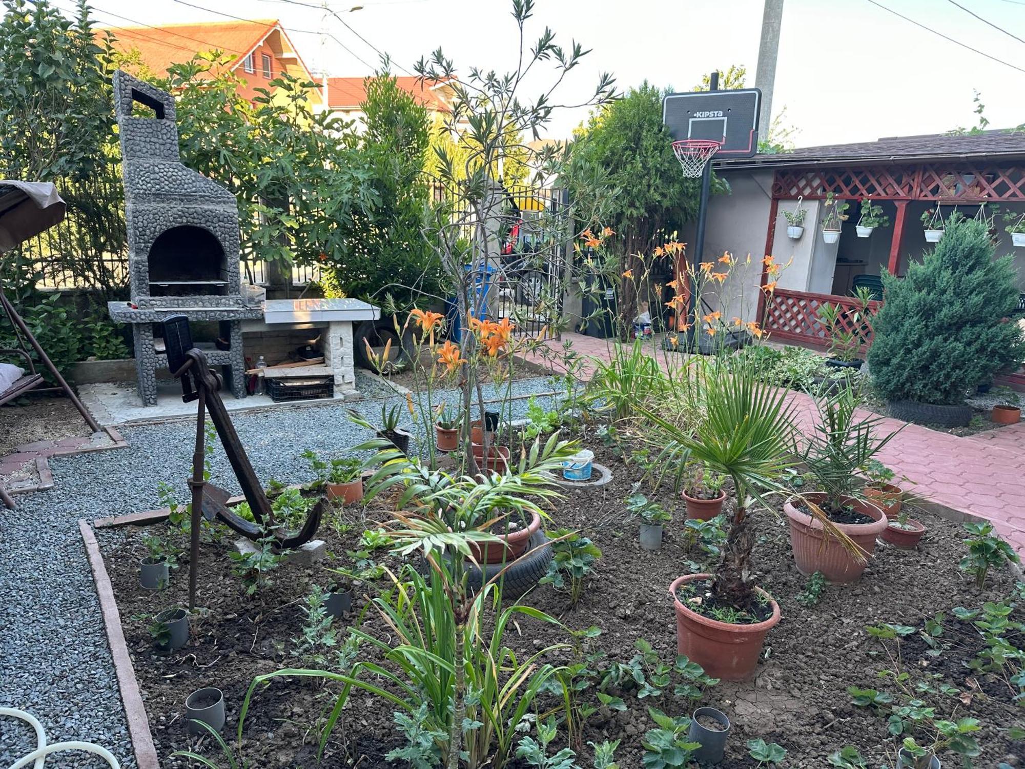 Casa Vio Parter Apartment Eforie Nord Luaran gambar
